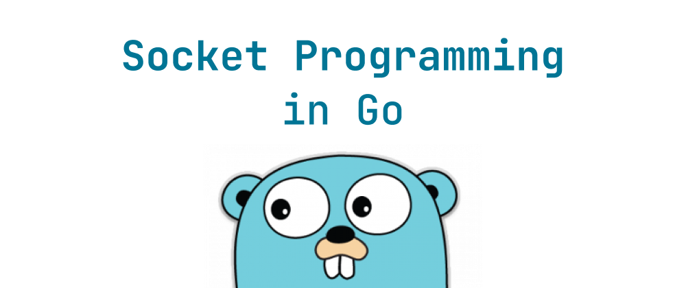 Cover of "Socket-Programmierung in Go meistern"