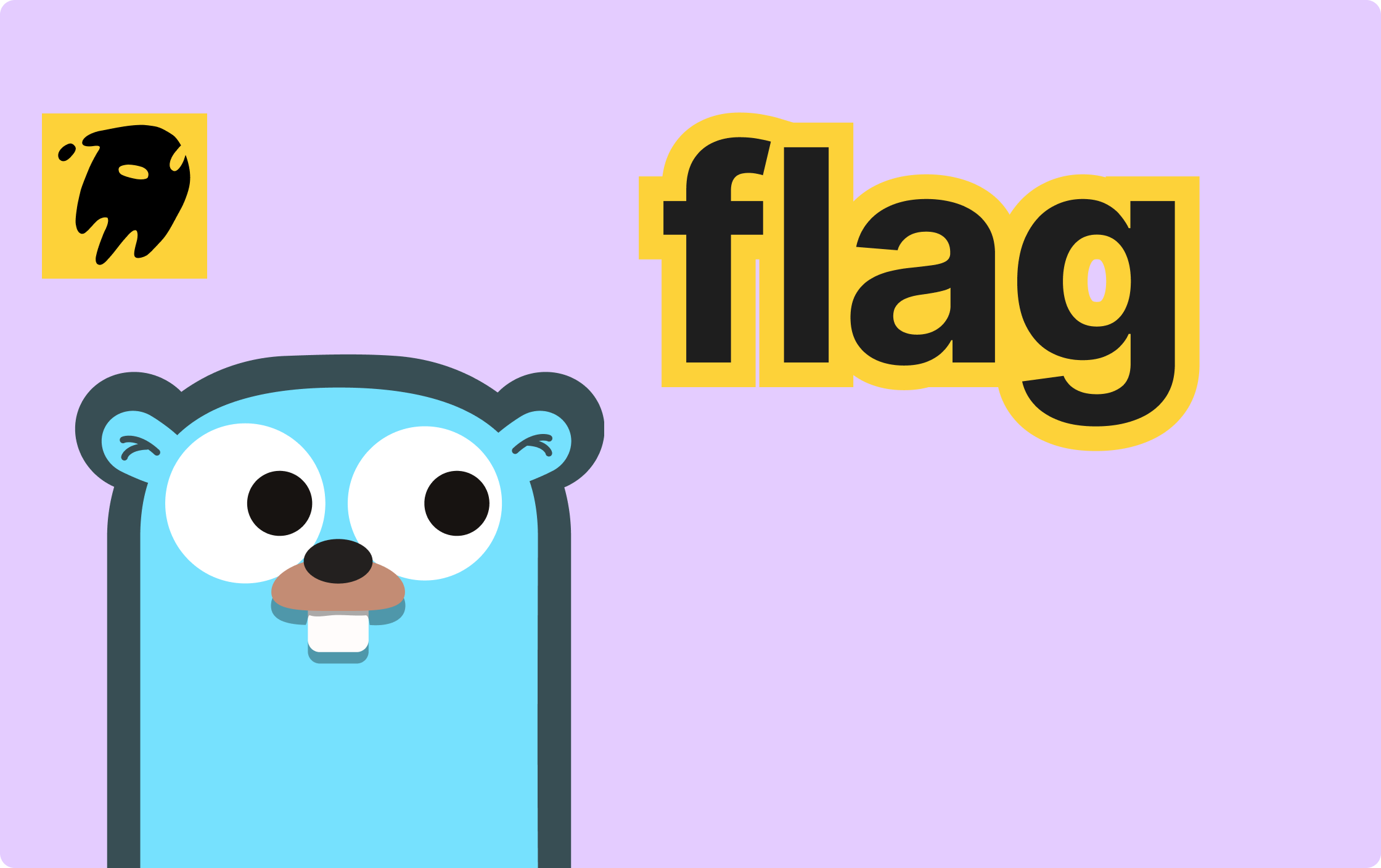 Cover of "Go Flag Library: A Complete Guide to CLI Arguments"