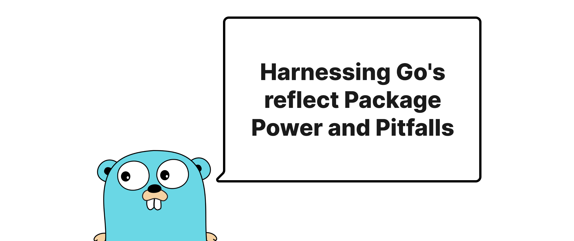 Cover of "Harnessing Go's reflect Package Power and Pitfalls"