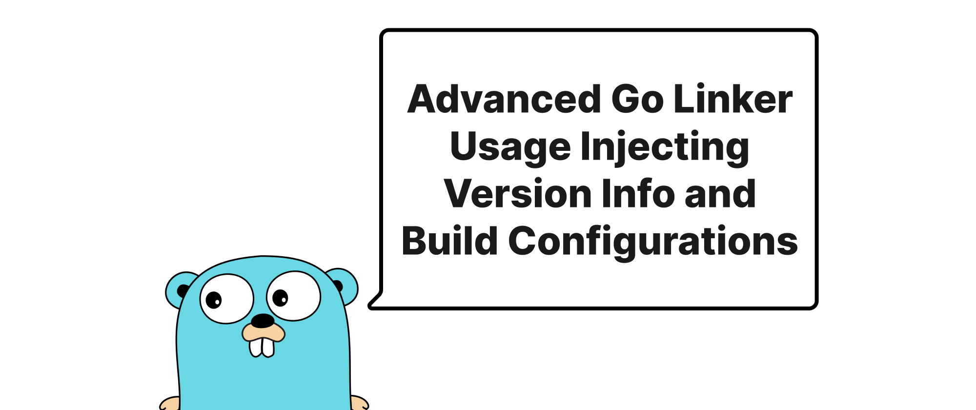 Cover of "Advanced Go Linker Usage Injecting Version Info and Build Configurations"